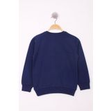 Toontoy Erkek Çocuk Uçak Baskılı Sweatshirt