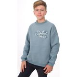 Toontoy Kids Toontoy Erkek Çocuk Baskılı Sweatshirt