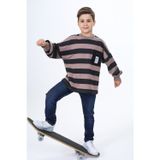 Toontoy Kids Toontoy Erkek Çocuk Çizgili Sweatshirt