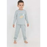 Toontoy Kids Toontoy Erkek Çocuk Kaplumbağa Baskılı Pijama Takım