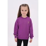 Toontoy Kids Toontoy Kız Çocuk Nakışlı Sweatshirt - Mor - 4 Yaş
