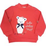 Toontoy Kız Bebek Sweatshirt Hello Winter Time Ayıcık Nakışlı - 9 Ay - 74Cm Boy - Nar Çiçeği