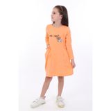 Toontoy Kız Çocuk Baskılı Relax Fit Bisiklet Yaka Uzun Kollu Cepli Elbise