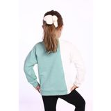 Toontoy Kız Çocuk Blok Kesikli Sweatshirt Lila 4 YAŞ