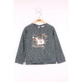 Toontoy Kız Çocuk Çanta Nakışlı Sweatshirt - 2 Yaş - Yeşil