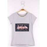 Toontoy Kız Çocuk Flamingo Baskılı T-Shirt - 8 Yaş - Gri Melanj
