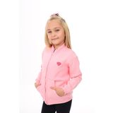 Toontoy Kız Çocuk Nakışlı Hırka Pembe 4 YAŞ