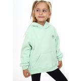 Toontoy Kız Çocuk Nakışlı Sweatshirt Açık Mint Yeşili 5 YAŞ