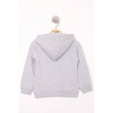 TOONTOY Kız Çocuk Pullu Ayıcık Nakışlı Sweatshirt, 1 Yaş, 12008-, Gri Melanj, kız-bebek