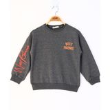 Toontoy Kız Çocuk Relax Fit Bisiklet Yaka Baskılı Sweatshirt - 2 Iplik - Antrasit - 10