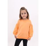 Toontoy Kız Çocuk Relax Fit Bisiklet Yaka Büzgülü Reglan Kol Sweatshirt - 2 Iplik - Turuncu