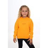 Toontoy Kız Çocuk Relax Fit Dik Yaka Düşük Omuz Nakış Baskılı Sweatshirt - 3 Iplik Şardonlu - Hardal - 2