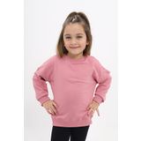 Toontoy Kız Çocuk Sweatshirt Gül Kurusu 5 YAŞ