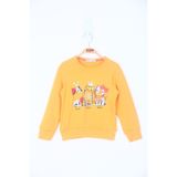 Toontoy Kız Çocuk Üç Kedi Baskılı Tişört