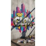 Top Glow Topglow Sprey Boya 400 ml Beyaz - 6 Adet - Gümüş
