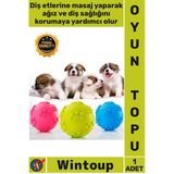 #Top Kaliteli Kauçuk Diş Kaşıyıcı İnteraktif Eğitici Çiğneme Oyun Pati Desenli Köpek Isırma Topu