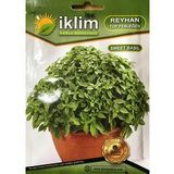 TOP REYHAN (FESLEĞEN) TOHUMU 1 GR ORT 700 AD TOHUM