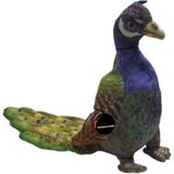 Top Rock Store Tavus Kuşu Peluş Oyuncak Büyük Boy 50 cm - Renkli