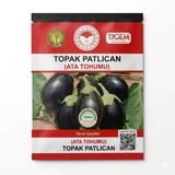 Topak Patlıcan Ata Tohumu (50 Adet)