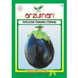 TOPAN PATLICAN TOHUMU 10 GR ORT 2000 AD TOHUM