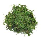 TOPCOMWW Orta Parçalar Dekoru için Sahte Yosun, Bitki El Sanatları için Yeşil Yosun, 99 gr
