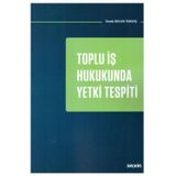 Toplu İş Hukukunda Yetki Tespiti Sevde Bulun Tokkaş 2019/01
