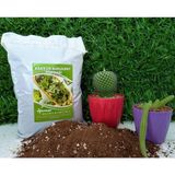 Toprağı 10 Lt Sukulent Toprağı Aloe Vera Toprağı Ithal Torf Pomza Perlit Vermikulit Karışım