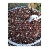toprak 4 Litre Özel Sukulent Succulent Karışımı Elde Yapım Echeveria Süper Kaliteli Zengin
