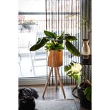 TOPRAK E-TİCARET Bambu Ahşap Ayaklı Sepet Saksılık Naturel Çok Amaçlı İç ve Dış Mekan Dekoratif Saksı