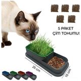 Topraksız Kedi Çimi Kabı - Çok Renkli