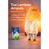 topraktan hasat odağında lezzet gizli 2 Adet Tuz Lambası Ampulü E14 Duy 7W Şeffaf Ampul