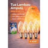 topraktan hasat odağında lezzet gizli 4 Adet Tuz Lambası Ampulü E14 Duy 7W Şeffaf Ampul