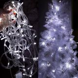 Toprockstore 10 Metre 100 Ledli 8 Fonksiyonlu Yilbasi Susu Dekor Led Isik