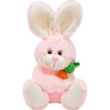 Toprockstore Sevimli Havuç Tutan Tavşan Peluş Oyuncak