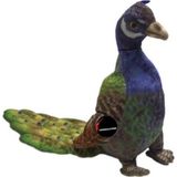 Toprockstore Tavus Kuşu Peluş Oyuncak Büyük Boy 50 Cm