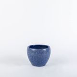 TOPSAN Tamago Beyaz Granit Desenli Mavi Kaktüs ve Sukulentlik Saksı (Beyaz-Mavi)