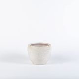 TOPSAN Tamago Kahverengi Granit Desenli Beyaz Kaktüs ve Sukulentlik Saksı (Bronz-Beyaz)
