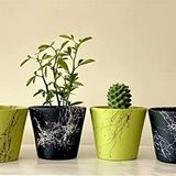Topsan Yume Beyaz Mermer Desenli Siyah Ve Siyah Mermer Desenli Yeşil Kaktüs Ve Sukulentlik 4'lü Saksı