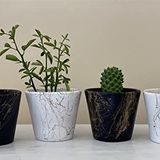 TOPSAN Yume Gold Mermer Desenli Siyah ve Beyaz Kaktüs Ve Sukulentlik 4'lü Saksı