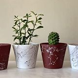 Topsan Yume Siyah Mermer Desenli Beyaz Ve Beyaz Mermer Desenli Bordo Kaktüs Ve Sukulentlik 4'lü Saksı