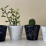 Topsan Yume Turkuaz Mermer Desenli Siyah Ve Beyaz Kaktüs Ve Sukulentlik 4'lü Saksı