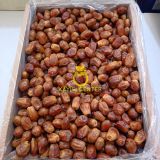 Toptan Bağdat Hurma Zahidi 10 Kg 10 KG