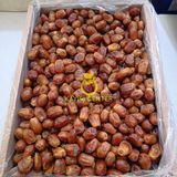 Toptan Bağdat Hurma (Zahidi) 10 Kg