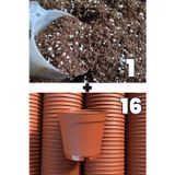 Toptan Kaktüs 1 Litre Kaktüs Sukulent Yetiştirme Toprağı Ve 16 Adet 5.5 Cm Kaktüs Sukulent Saksısı