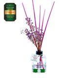 Toptan Meczub Fantazi Serisi Afrodizyak Kokulu 10 x 60 ml küp Şişe Bambu Çubuklu Ortam Kokusu Reed Diffuser Oda Kokusu