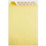 Torba Zarf 30x40cm Formula 100gr (50 Li Paket)