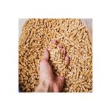 torcat Premium Doğal Organik Çam Peleti Kemirgen Altlığı 10 LT (5 KG)