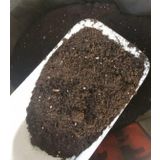 Torf Toprak, Fide, Cicek, Bitki Yetistirme Torfu 1 Kg