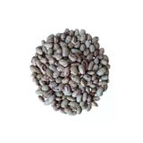 Toros Yayla Barbunya 1 Kg