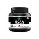 Torq Nutrition Bcaa Çilek Aromalı 500 Gr
